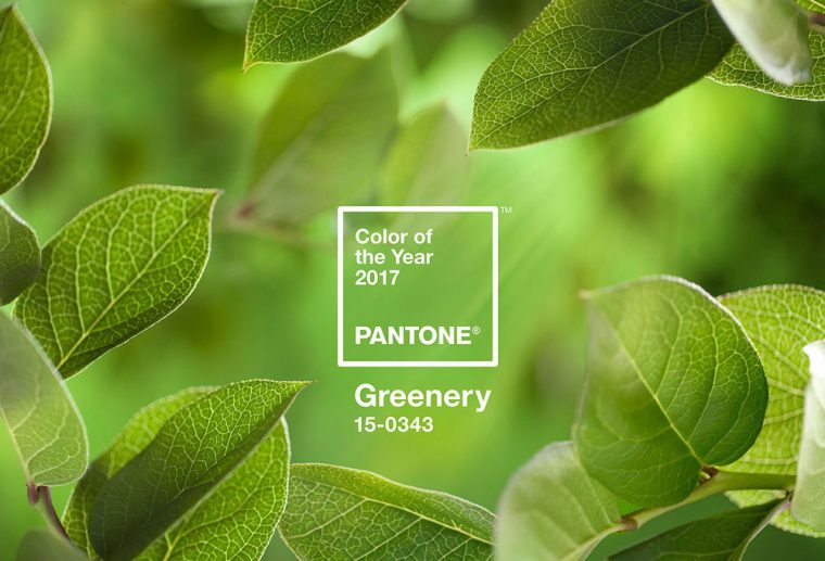 2017’nin Pantone Rengi: “Greenery”