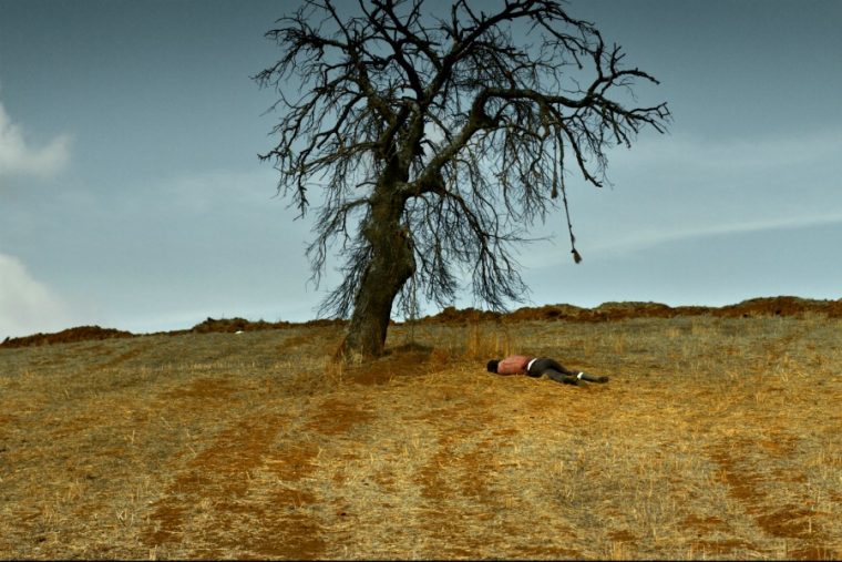 Nuri Bilge Ceylan’ın Yeni Filmi Ahlat Ağacı Cannes’da